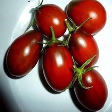 Taber De Barao Black Domates Tohumu (15 Tohum)