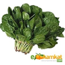 Taber Köy Ispanak Tohumu 25 gr Paket