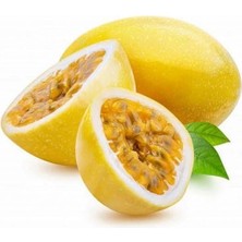 Taber Sarı Meyveli Çarkıfelek Pasiflora Edulis Panama Gold