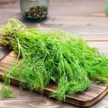 Taber Uzun Ada Mamut Dere Otu (Durakotu-Tarhanaotu) Tohumu(50 Tohum)