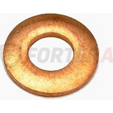 Fortera Enjektör Pulu Düz Kango 1.9