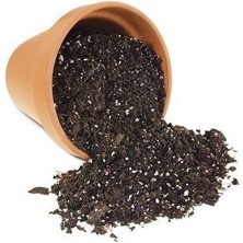 Taber Torflu Gübreli Saksı Toprağı 10 Lt