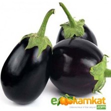 Taber Topan Patlıcan Tohumu 25 gr Paket