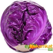 Taber Mor Lahana (Kara) Tohumu 25 gr Paket