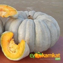 Taber Arıcan 97 Beyaz Balkabağı Tohumu 10 gr Paket