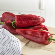 Taber Yağlık Burkap Tombul Kapya Biber Tohumu (20 tohum)