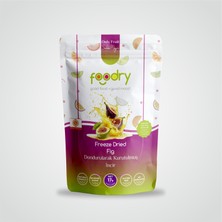 Foodry Freeze-Dry Incir (Freeze Dried Fig) | Dondurularak Kurutulmuş Meyve Kurusu 17G