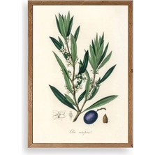 Durukar Yaprak Ahşap Çerçeveli Tablo 17 x 23