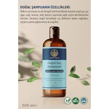 Apayrı Yaşam Yeşil Çay Lavanta Ardıç Katranı Özlü Yağlı Saçlar Için Besleyici ve Onarıcı Şampuan 500 ml