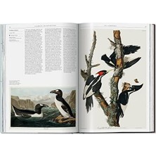 Science Illustration. A History Of Visual Knowledge From The 15TH Century To Today