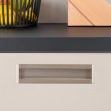 System 2165 Saten Rengi Gömme Kulp 320 mm