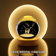 Mobil Dünyası Doğal Ahşap Standlı Geyik Figürlü Kristal Küre LED Dekoratif Lamba - MB000X-2GZ8C9