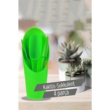 Bi Dünya Shop Hsnet Kaktüs Sukkulent Dikim Seti - UD001X-51LF09