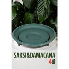 Bi Dünya Shop Hsnet Tekerlekli Saksı Altığı 4 Adet 37 cm Yeşil - UD001X-51K9C4