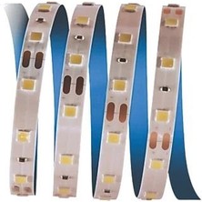 Cata CT4486 10çip Şerit LED Iç Mekan 4000K 5mt
