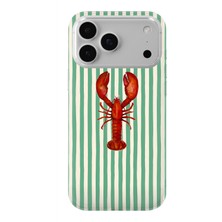 Manitoba Iphone 17 Pro Max Uyumlu Baskılı Yumuşak Silikon Şeffaf Telefon Kılıfı