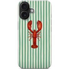 Manitoba Iphone 16 Uyumlu Baskılı Yumuşak Silikon Şeffaf Telefon Kılıfı