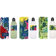 Belirtilmemiş Kolonya Paris Gecesi, Hatıralar ve Ayvalık Zeytin Çiçeği Pet Şişe 400 ml