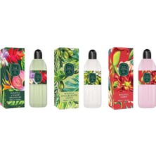 Belirtilmemiş Kolonya Yağmur Ormanları, Ayvalık Zeytin Çiçeği ve Amber Pet Şişe 400 ml