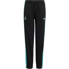 Adidas Performance KE5921 Mercedes - Amg Petronas Formula 1 Team Dna Pant