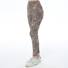 ASN Concept Kadın Leopar Desenli Kahverengi Renk Tayt (Büyük Beden Seçeneğiyle)