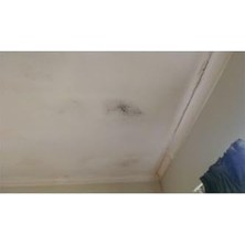 Storemax Flora Nem Alıcı Yedek 450 gr 6 Adet