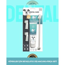 M-Pets Köpekler Için Beyazlatıcı Diş Macunu + Fırça Seti