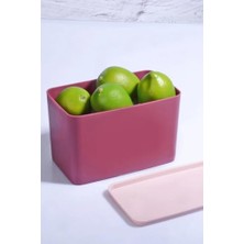 Storemax 2 Adet Dikdörtgen 2 Litre Kapaklı Üst Üste Istiflenebilir Saklama Kabı