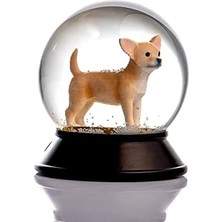 Storemax Cam ve Reçine Altın Patiler Köpek Chihuahua (Kayısı) Kar Küresi Hediye