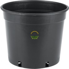 10 Adet Geniş Tabanlı Üretim Saksı 2 Litre