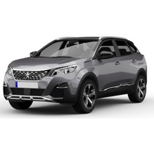 Flea Market Peugeot Grubu Evl Platin Gri Çizik Giderici Fırçalı Rötuş Boyası
