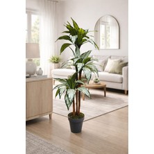 Maki Dekor Yapay Yucca 110 cm Boyunda 3 Gövdeli Dekoratif Modern Iç Mekan Ev ve Ofis Ağacı