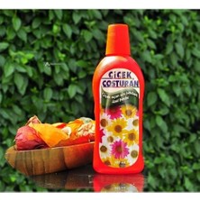 Verto Çiçek Coşturan Çiçek Açan Süs Bitkileri Için