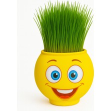 Çimcik 9050 Çim Adam Mini 26 Haylaz