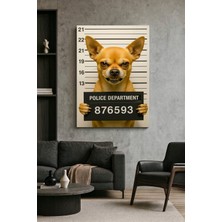 Wallivo Sabıka Fotoğrafı Çekilen Sert Bakışlı Komik Chihuahua Köpek Mizahi Kanvas Tablo