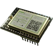 EGN Elektronik NTR06CSH4 433MHZ Rf Lora Transceiver Modülü (LLCC68, Saw Filtre, Rf Ekran, +20DBM, U.fl Rf Konnektör)