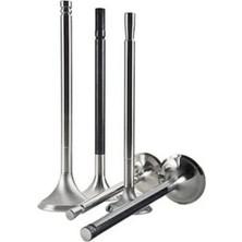 TRW Bmw Supap M51 Emme [E34 E36] 325TD/525TDS