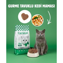Carnaval Premium Gurme Tavuklu Yetişkin Kedi Maması 15 kg