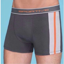 Çamaşır Kenti Erkek  Modal Boxer 1080