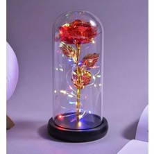 Bal10 Dünyası Peri LED Işıklı Solmayan Kırmızı Sonsuzluk Gülü Fanuslu Gece Lambası