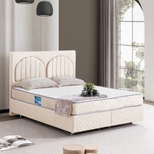 Setay Walter Çift Kişilik Baza Başlık Orthosoft Yatak Seti