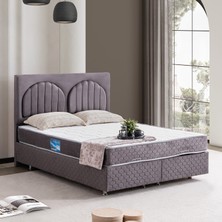 Setay Walter Çift Kişilik Baza Başlık Orthosoft Yatak Seti