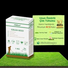 MarkEntegra Çok Yıllık Çim Tohumu 1 kg Uzun Ömürlü 6'lı Karışım Göl ve Aşırı Güneşli Alan Uygun Yetiştirilmesi Kolay 4 Mevsim Yeşil