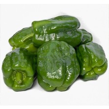 MarkEntegra Dolmalık Biber Antep Acı (Çoklu Tohum) - 5 Gram