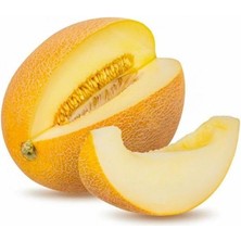 MarkEntegra Kavun Ananas (Çoklu Tohum) - 5 Gram