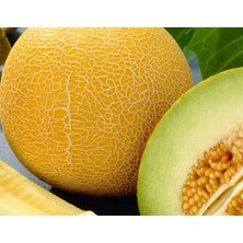 MarkEntegra Doğal Galia Kavun Tohumu