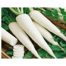 MarkEntegra Turp Japan Tohumu - 10 gr