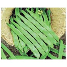 MarkEntegra Fasulye Helga Tohumu - 10 gr