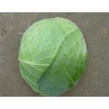 MarkEntegra Beyaz Lahana Tohumu - 10 gr