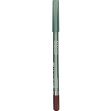 Alterra Dudak Kalemi No:05 Gül Kurusu 1.1 gr